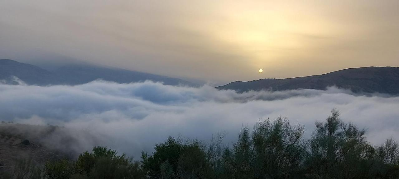 הוילה אורגיווה Cortijo La Vista מראה חיצוני תמונה
