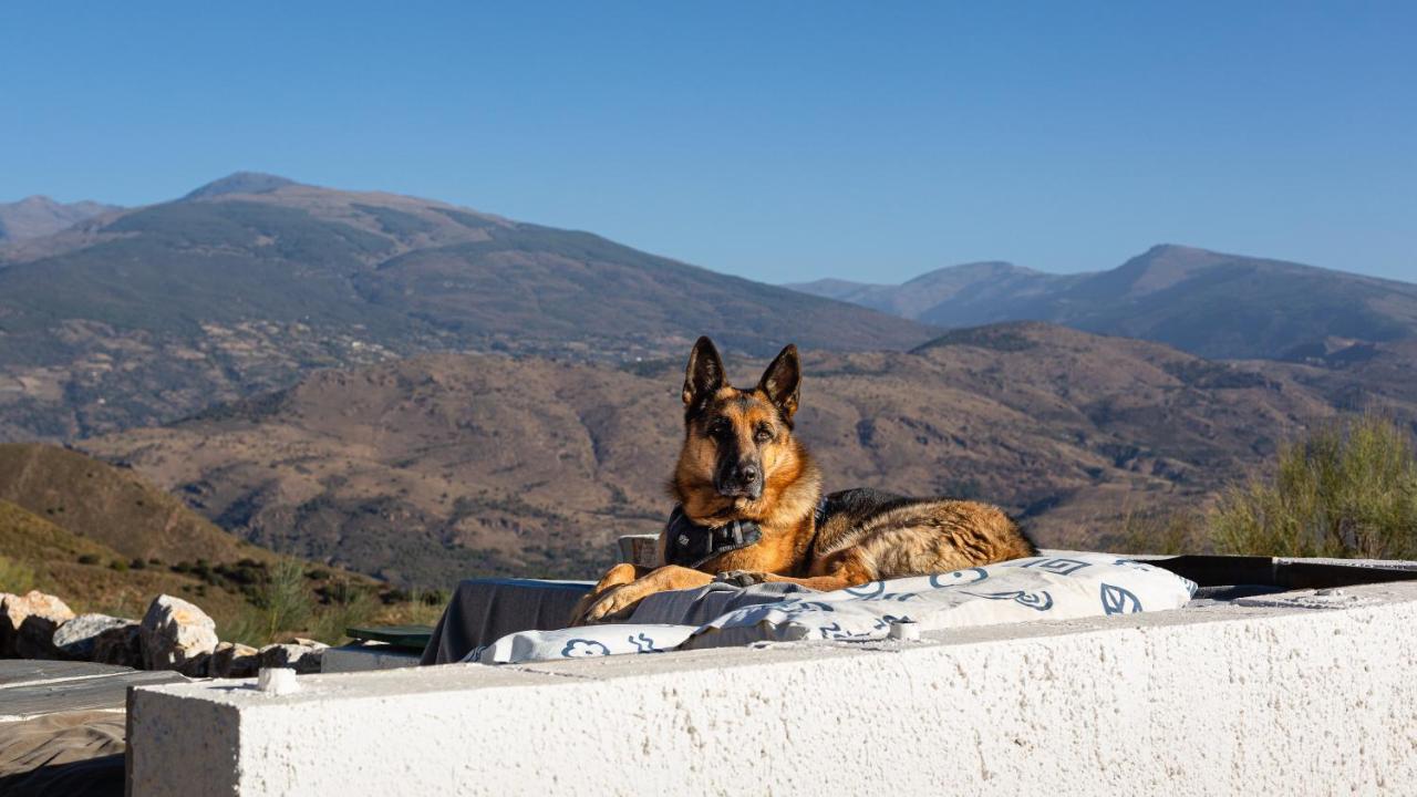 הוילה אורגיווה Cortijo La Vista מראה חיצוני תמונה