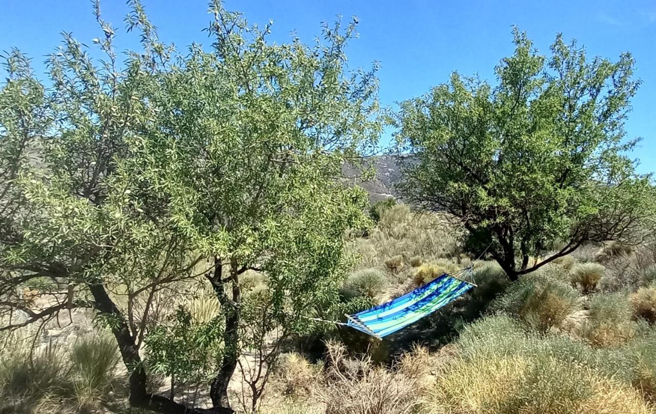 הוילה אורגיווה Cortijo La Vista מראה חיצוני תמונה