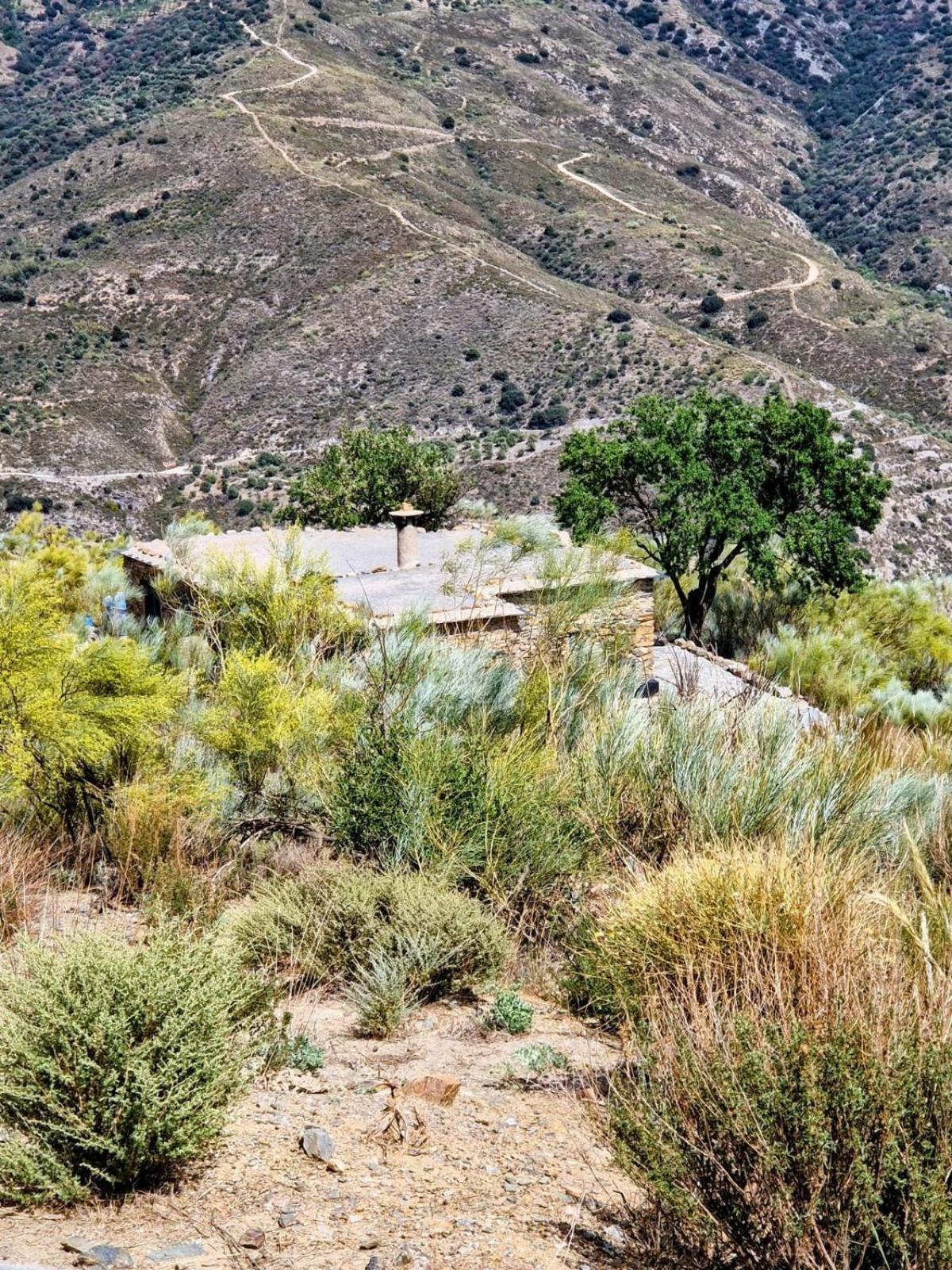 הוילה אורגיווה Cortijo La Vista מראה חיצוני תמונה