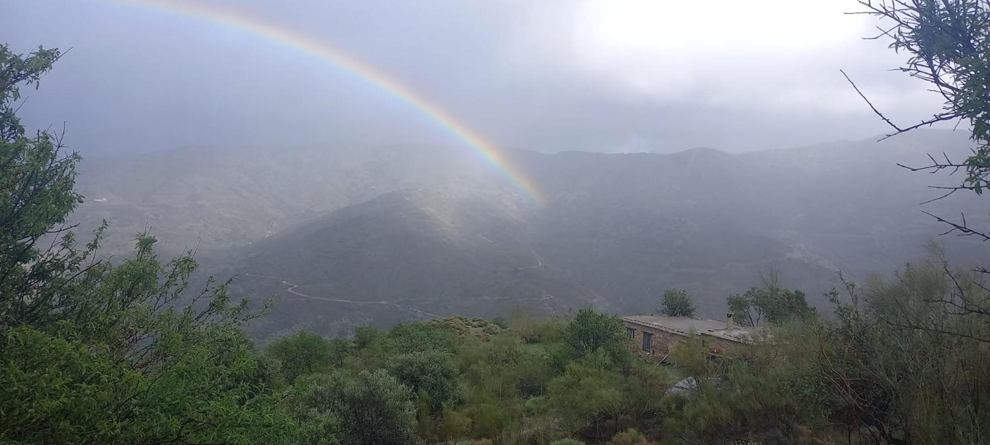 הוילה אורגיווה Cortijo La Vista מראה חיצוני תמונה