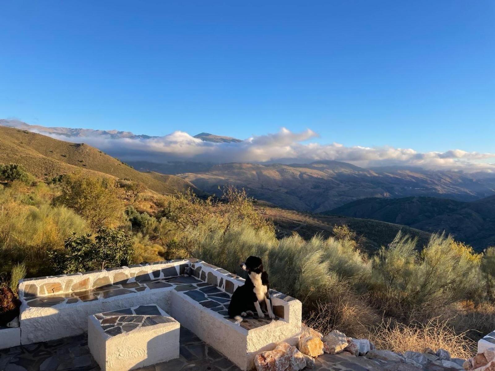 הוילה אורגיווה Cortijo La Vista מראה חיצוני תמונה