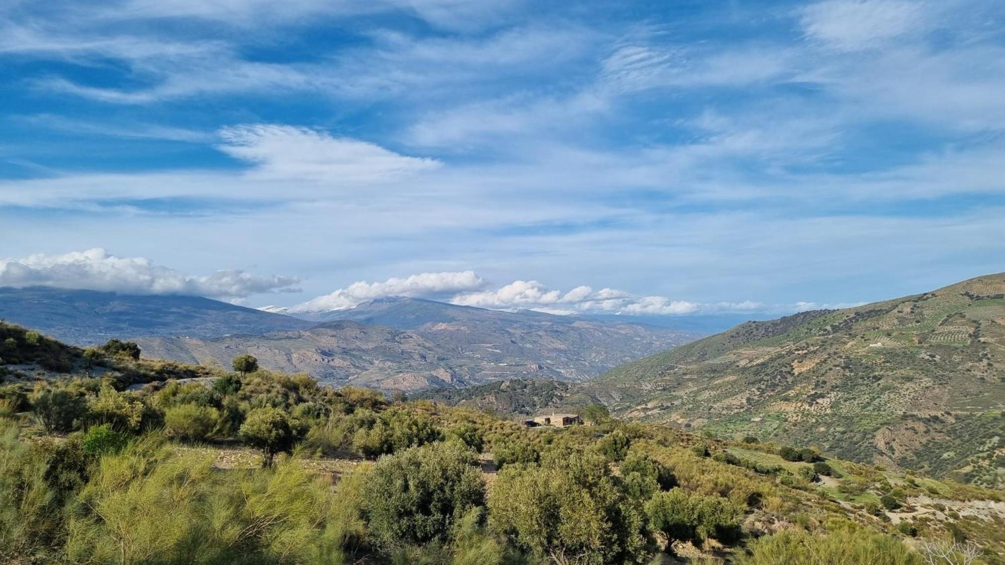 הוילה אורגיווה Cortijo La Vista מראה חיצוני תמונה
